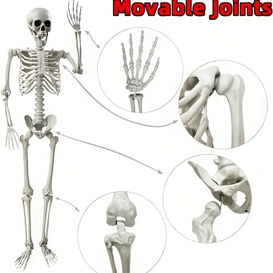 Skeleton Sculpture – Halloween Decorative Prop