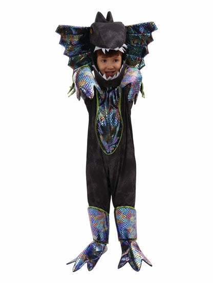 Triceratops Dinosaur Costumes – Kids’ Halloween Outfit