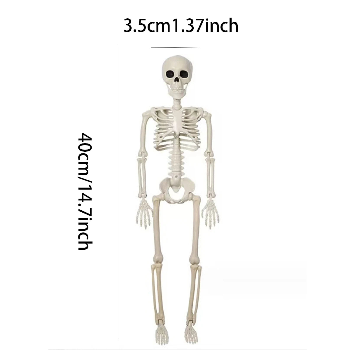 Skeleton Sculpture – Halloween Decorative Prop