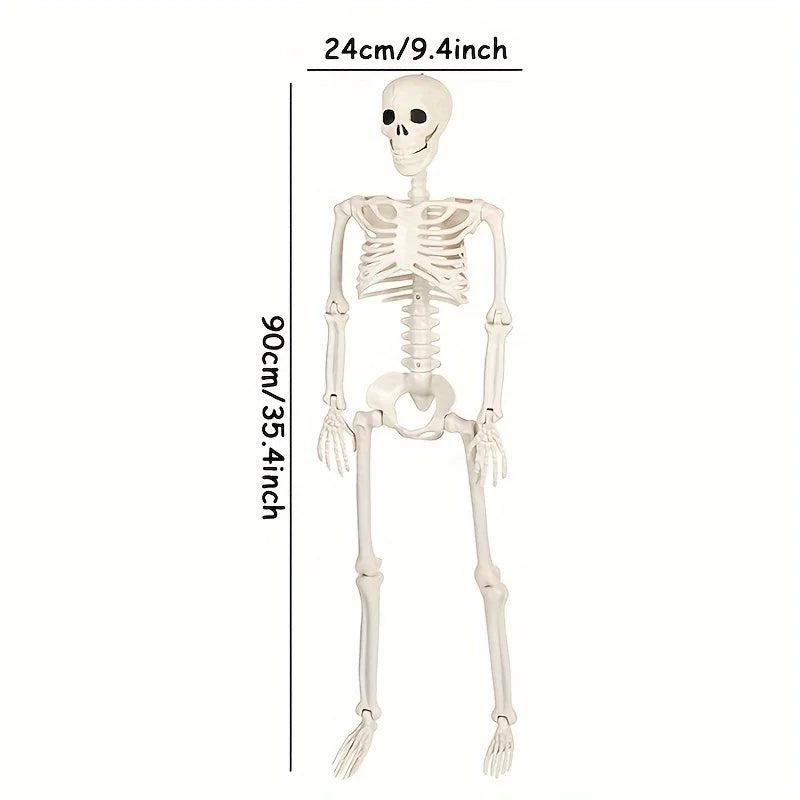 Skeleton Sculpture – Halloween Decorative Prop