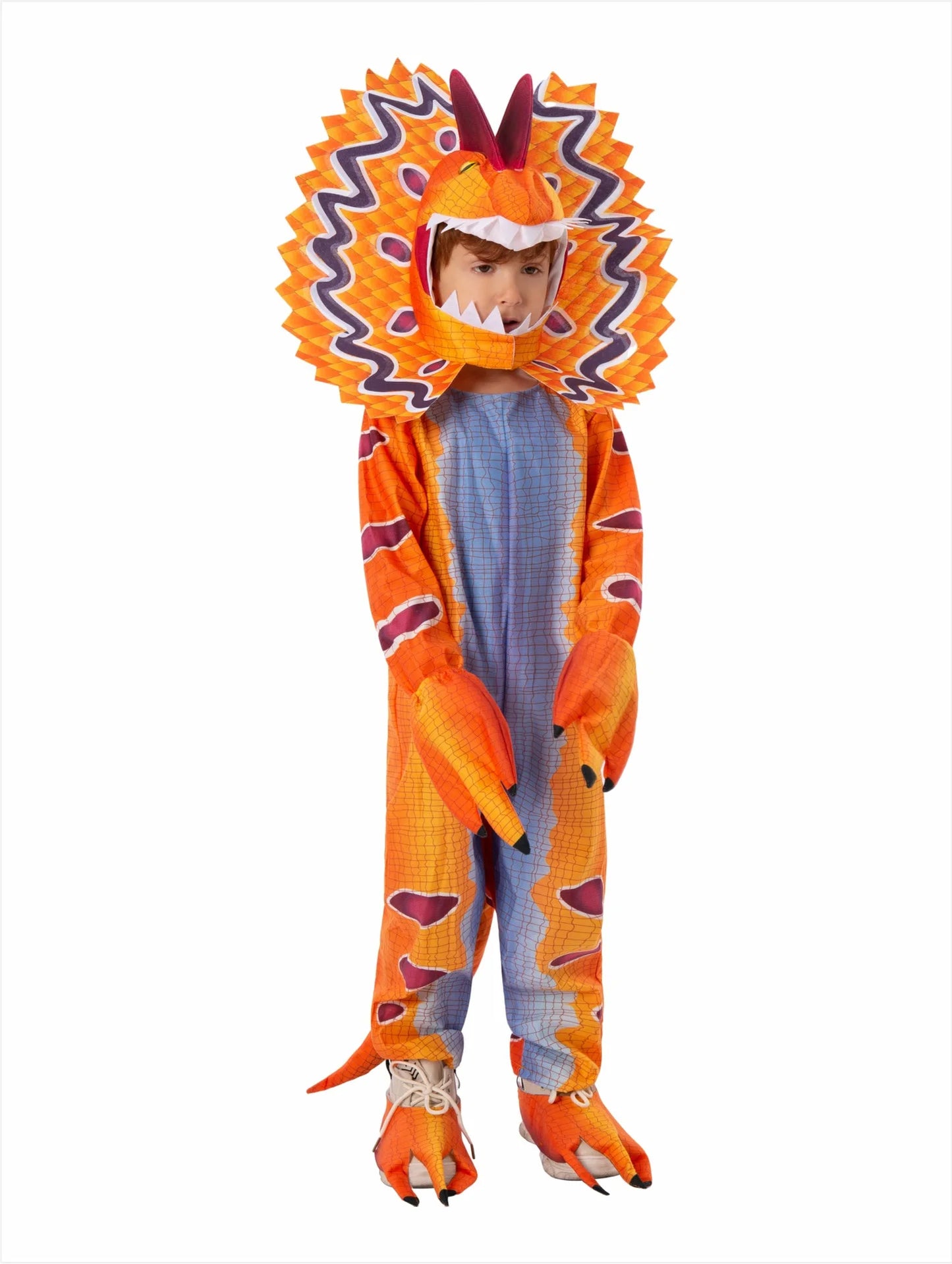Triceratops Dinosaur Costumes – Kids’ Halloween Outfit